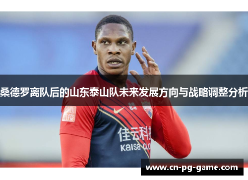 桑德罗离队后的山东泰山队未来发展方向与战略调整分析 桑德罗离队后的山东泰山队未来发展方向与战略调整分析