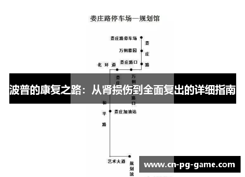 波普的康复之路：从肾损伤到全面复出的详细指南