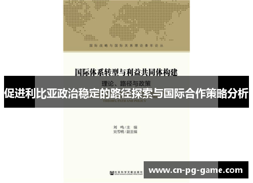 促进利比亚政治稳定的路径探索与国际合作策略分析