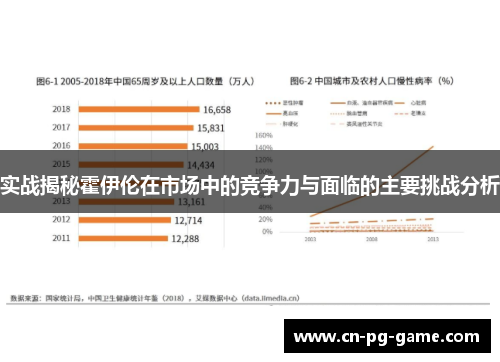 实战揭秘霍伊伦在市场中的竞争力与面临的主要挑战分析