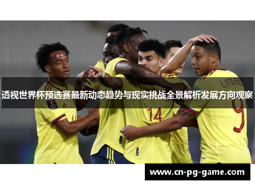 透视世界杯预选赛最新动态趋势与现实挑战全景解析发展方向观察