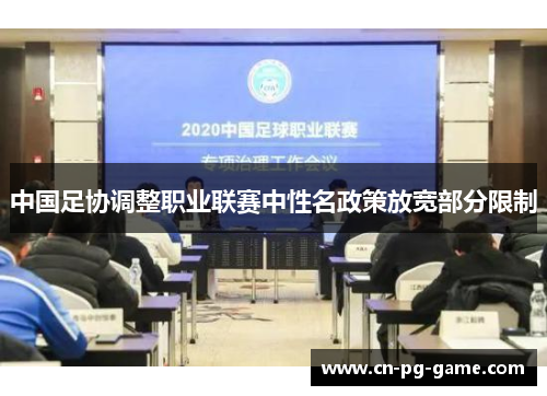 中国足协调整职业联赛中性名政策放宽部分限制